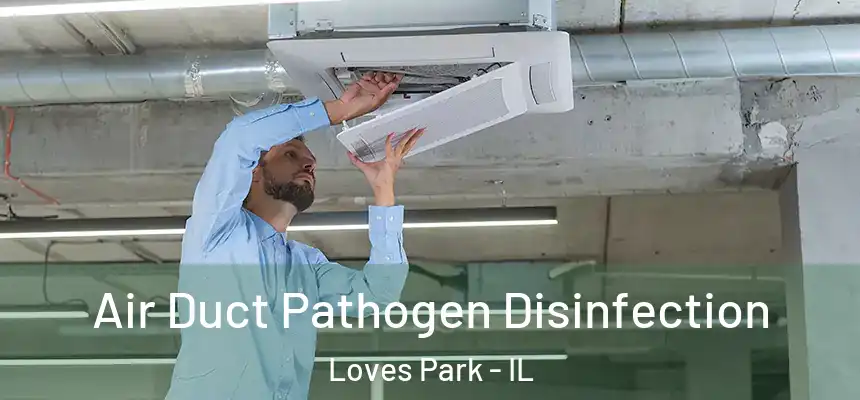  Air Duct Pathogen Disinfection Loves Park - IL