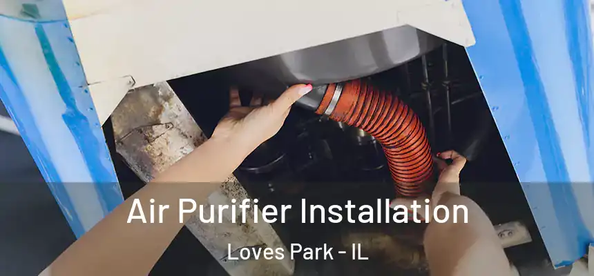  Air Purifier Installation Loves Park - IL