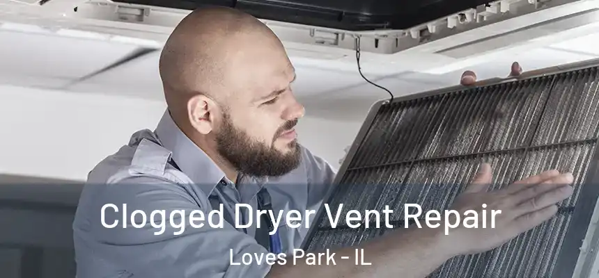  Clogged Dryer Vent Repair Loves Park - IL