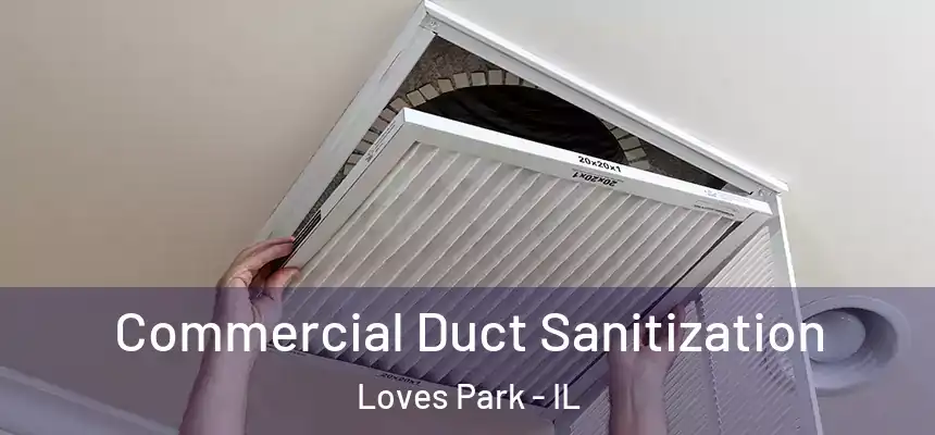  Commercial Duct Sanitization Loves Park - IL