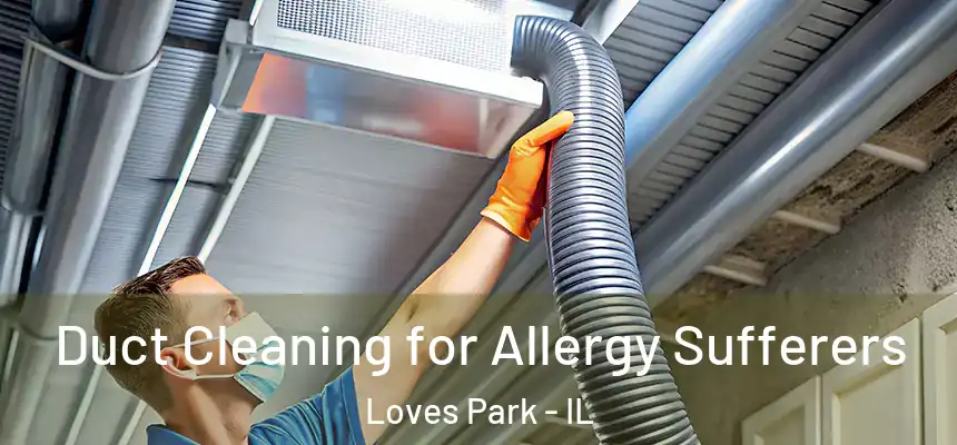  Duct Cleaning for Allergy Sufferers Loves Park - IL