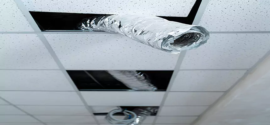 Our Air Duct Pet Hair Removal Services in Loves Park, IL