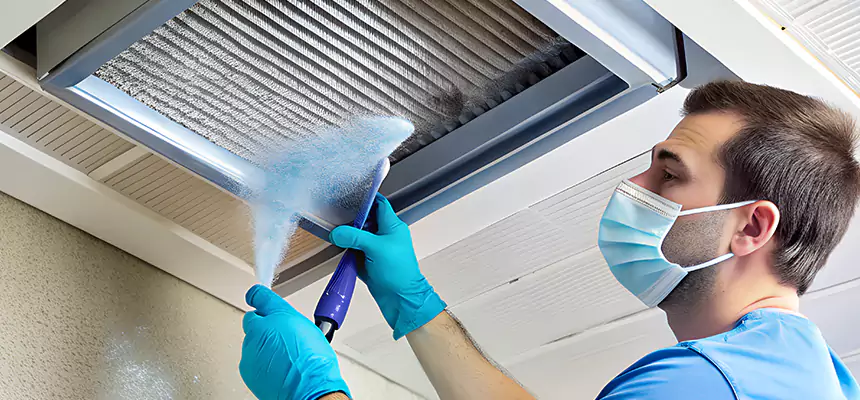Proactive Dryer Vent & Auxiliary Duct Pollen Cleanup in Loves Park, IL