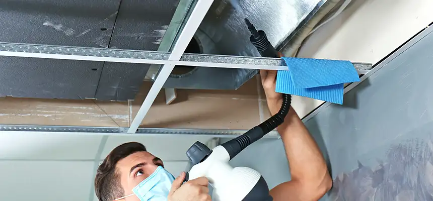 Our Air Duct Rodent Removal Services in Loves Park, IL