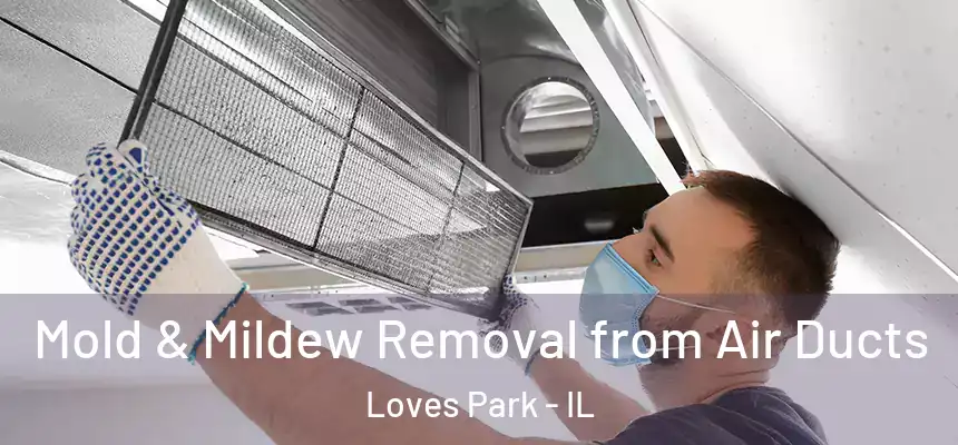 Mold & Mildew Removal from Air Ducts Loves Park - IL