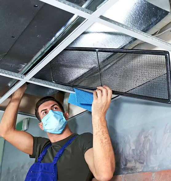 Professional Air Duct Pollen Cleaning in Loves Park, IL
