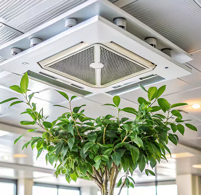 Why Homeowners & Businesses Trust Us in Loves Park, IL?