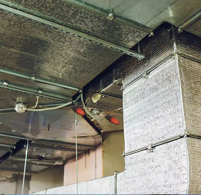 Why Homeowners & Businesses Trust Us Loves Park, IL?