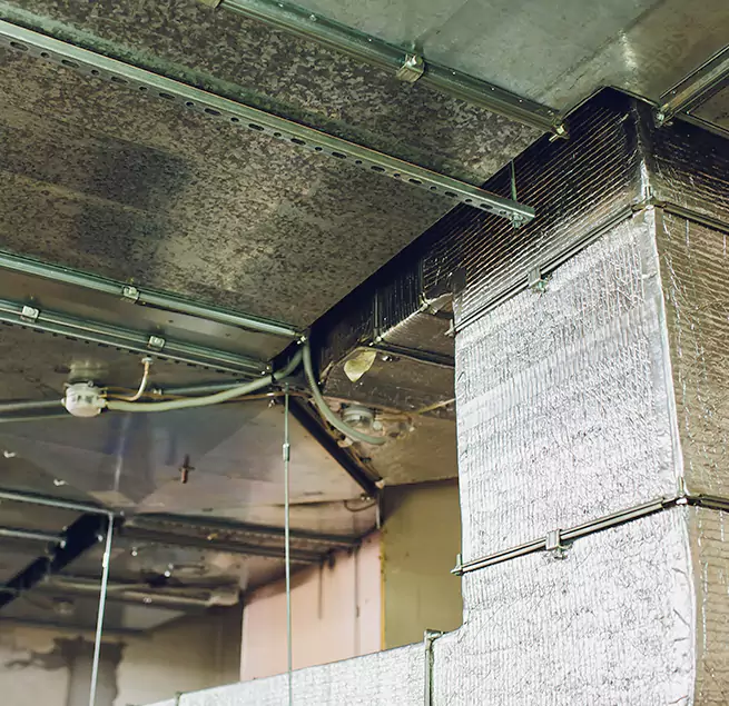 Why Homeowners & Businesses Trust Us in Loves Park, IL?